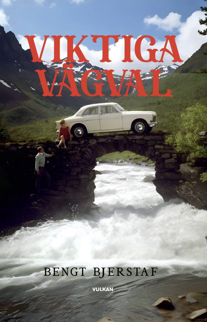 Viktiga vägval – E-bok