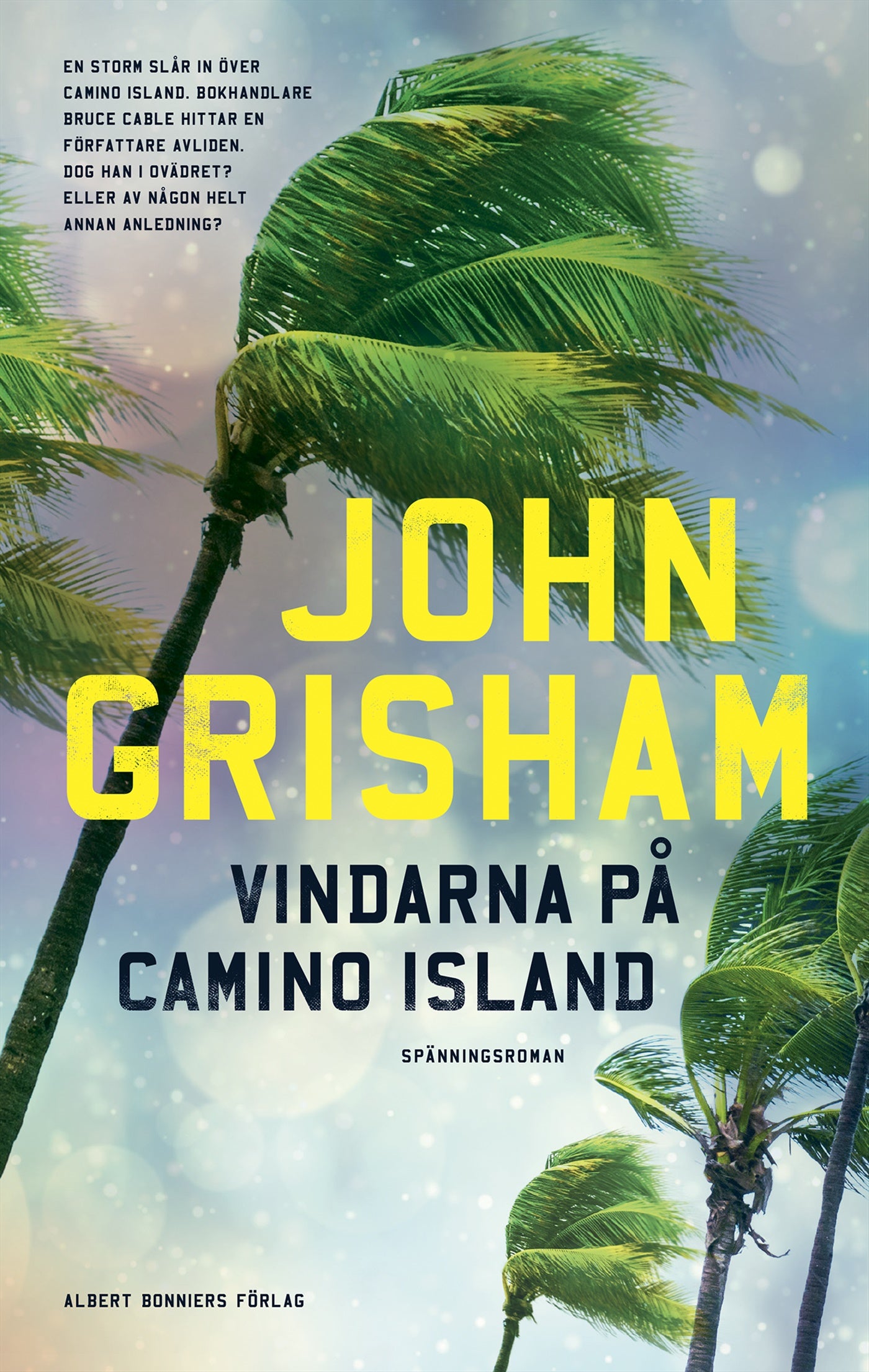 Vindarna på Camino Island – E-bok