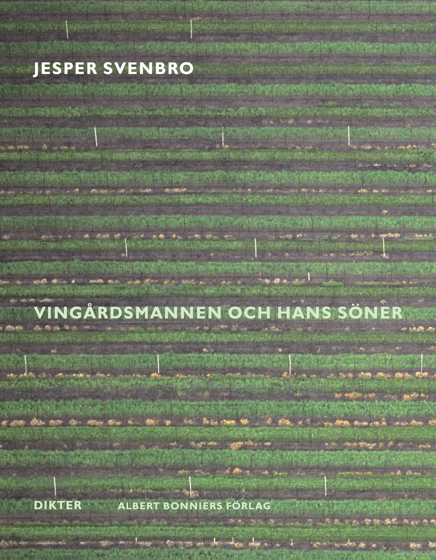Vingårdsmannen och hans söner – E-bok