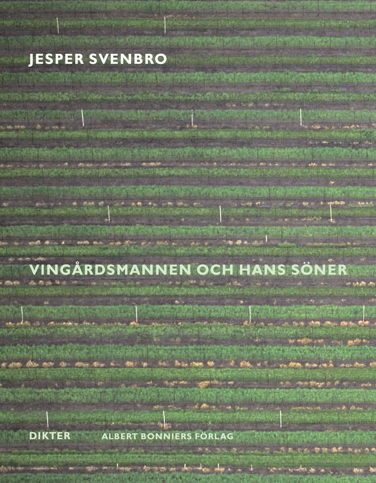 Vingårdsmannen och hans söner – E-bok