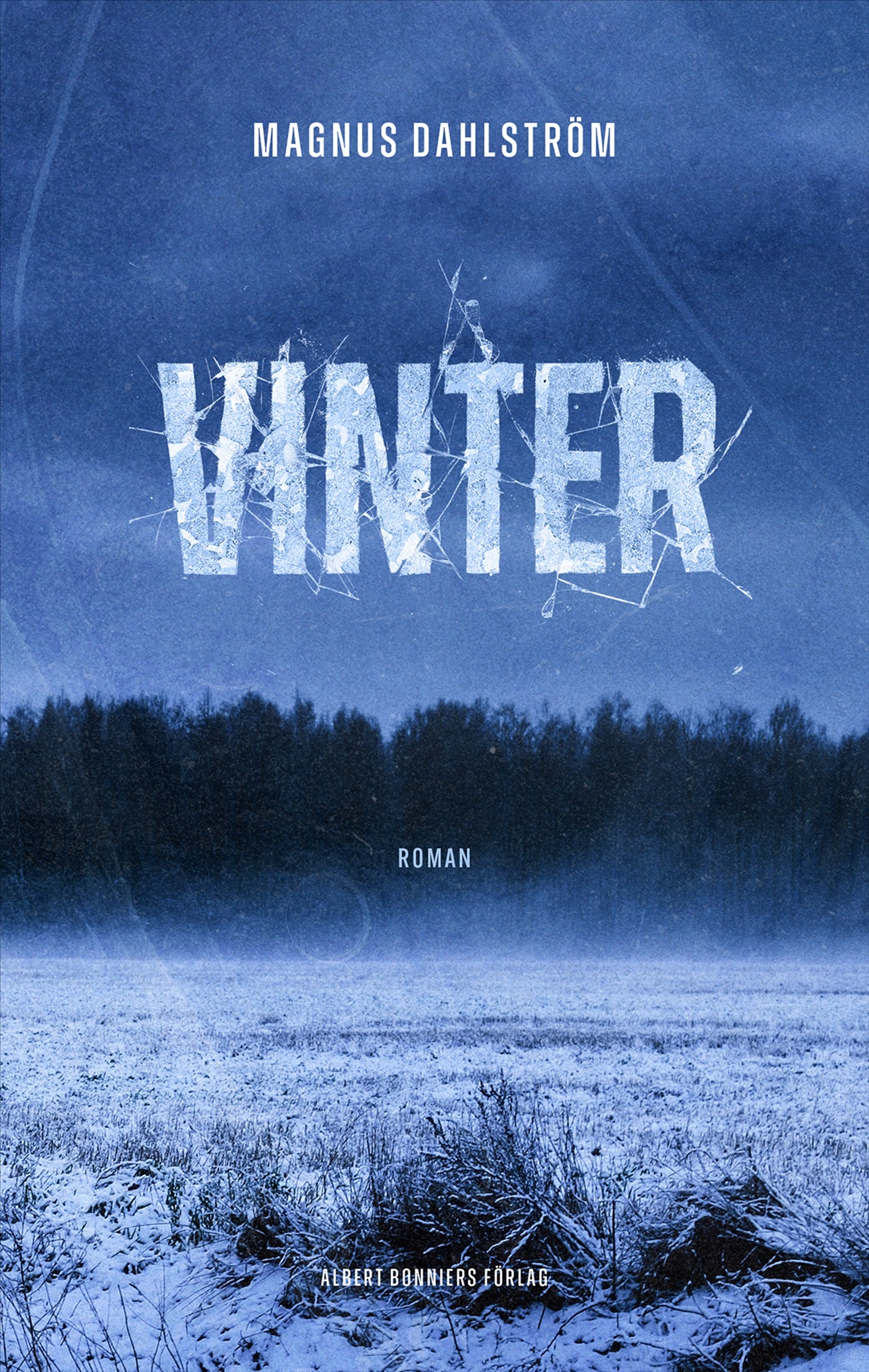 Vinter – E-bok
