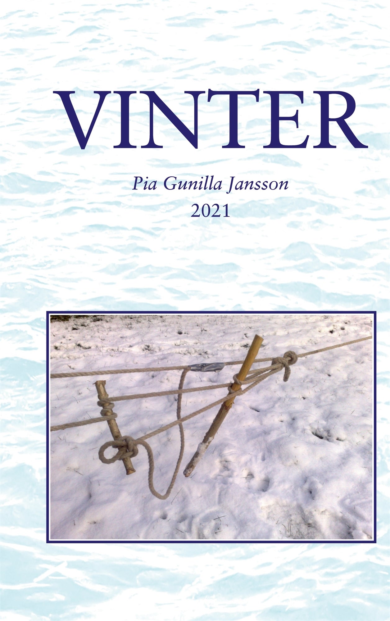 Vinter: I mörker och kyla på de oändliga isvidderna – E-bok