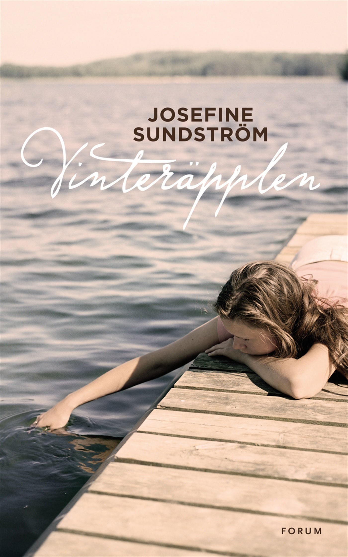 Vinteräpplen – E-bok