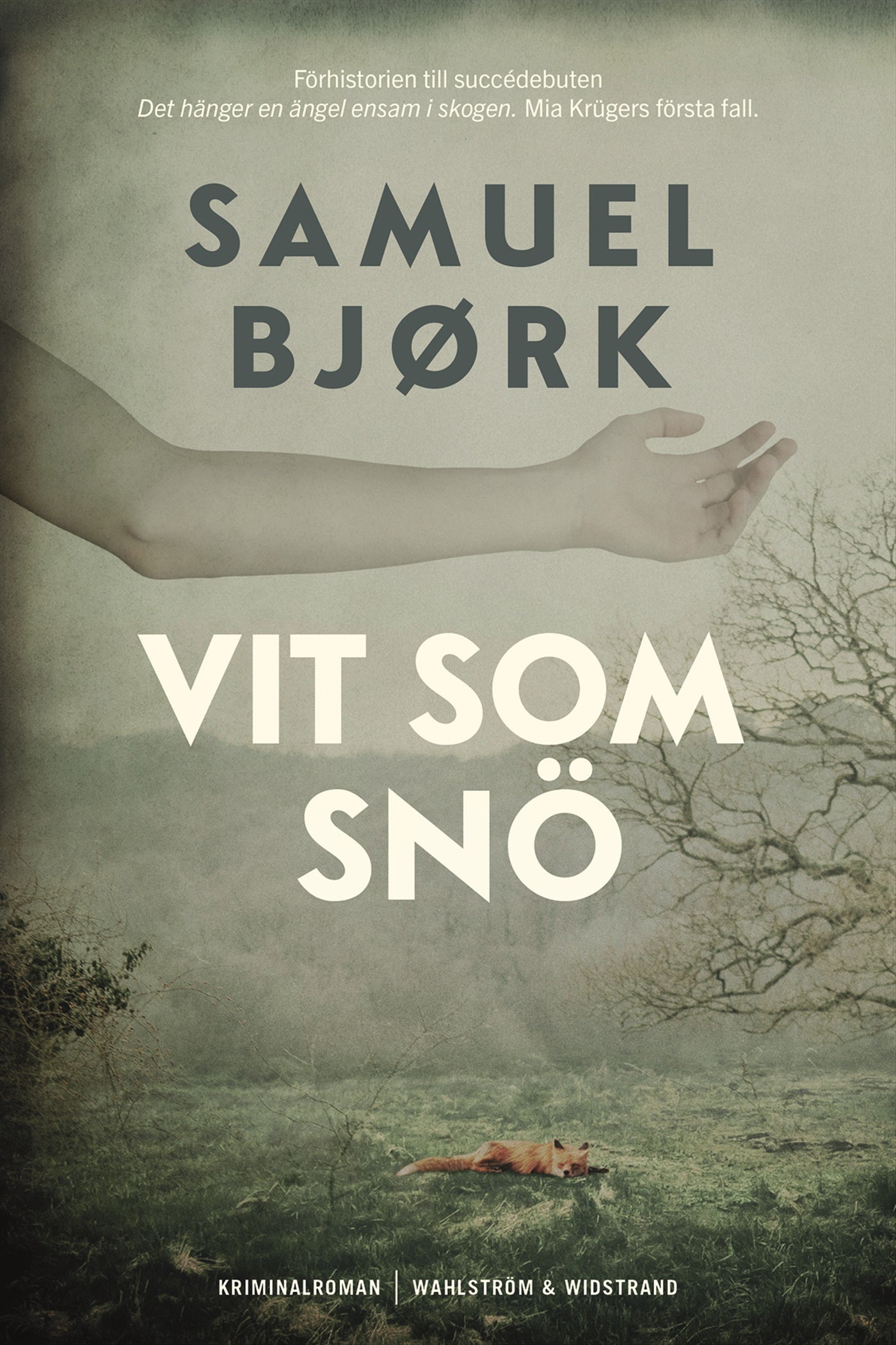 Vit som snö – E-bok