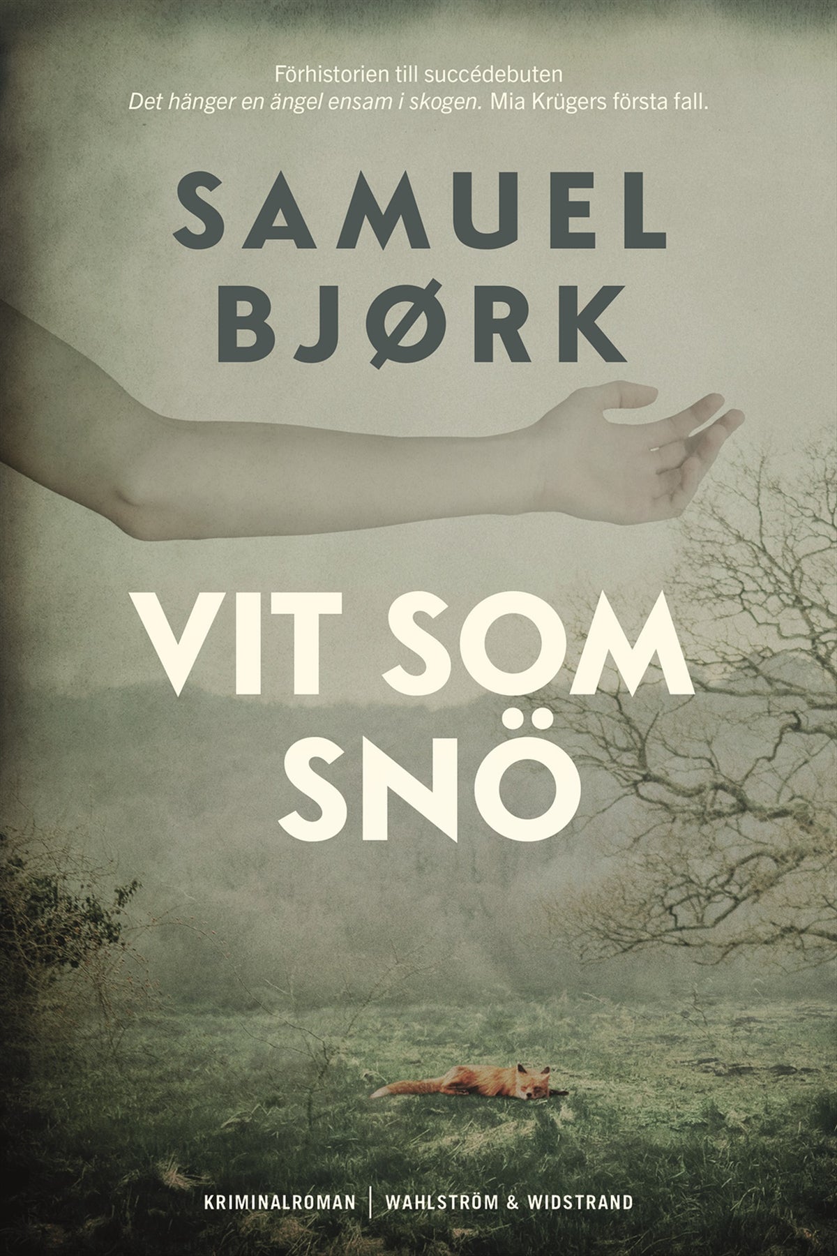 Vit som snö – E-bok