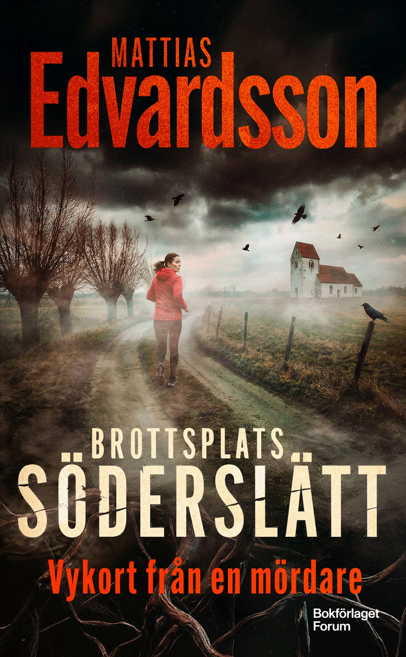 Vykort från en mördare – E-bok
