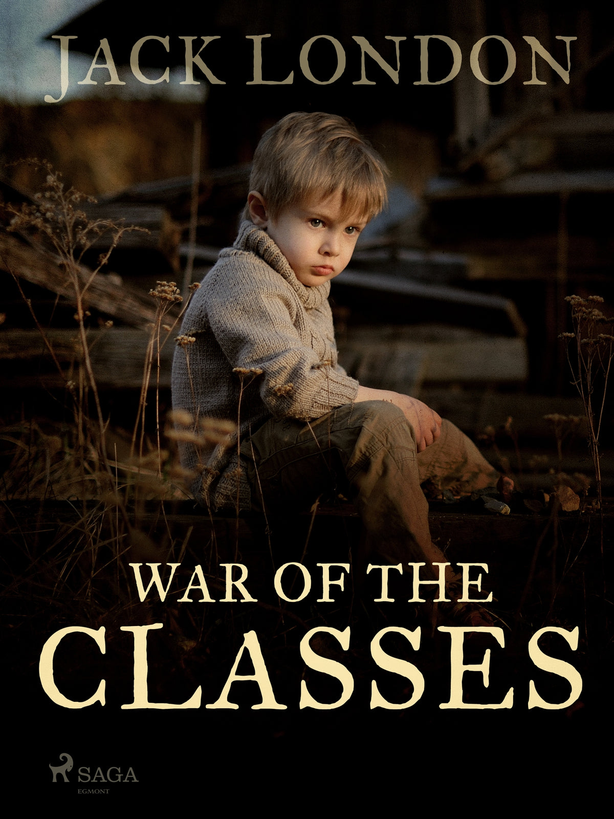 War of the Classes – E-bok