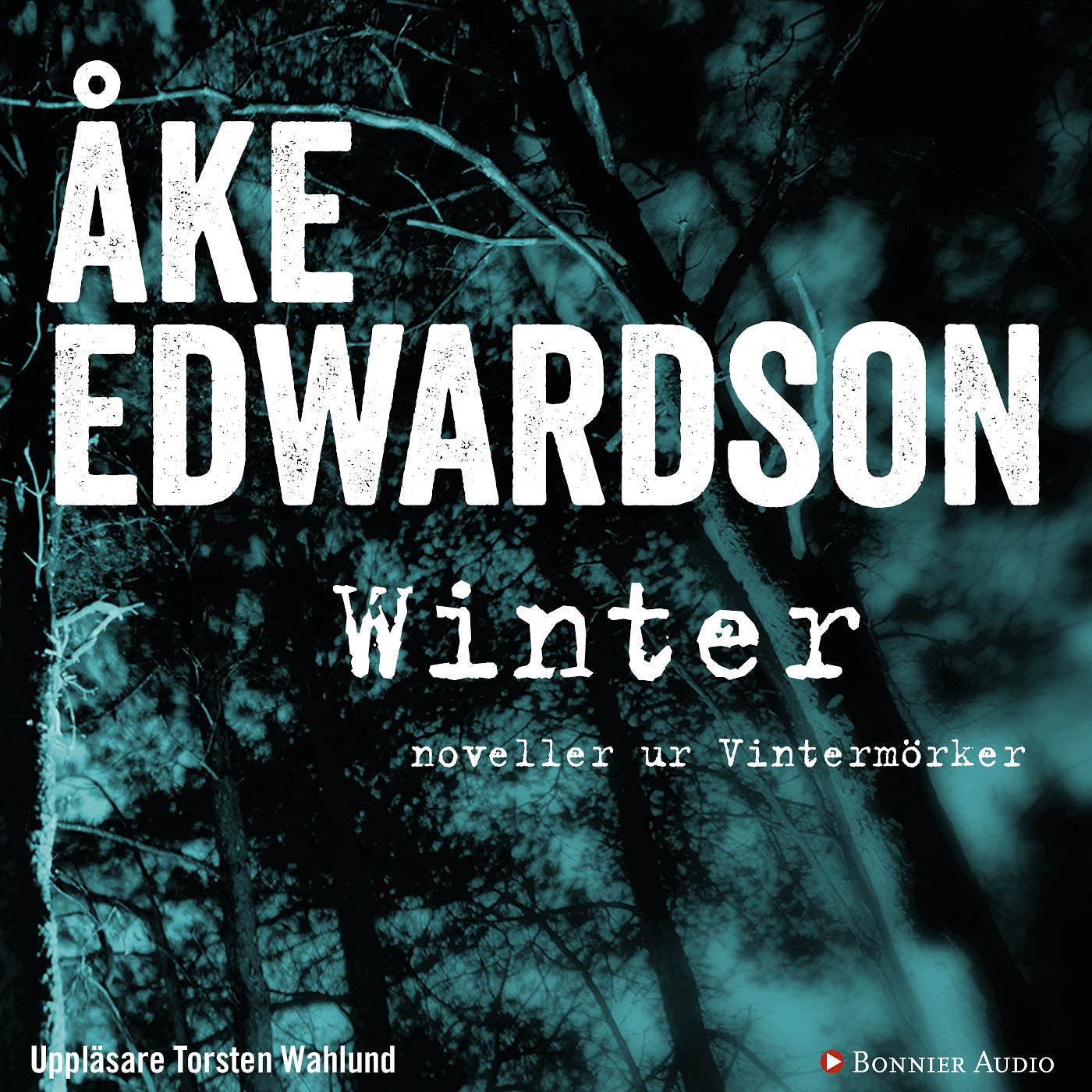 Winter : noveller ur Vintermörker – Ljudbok