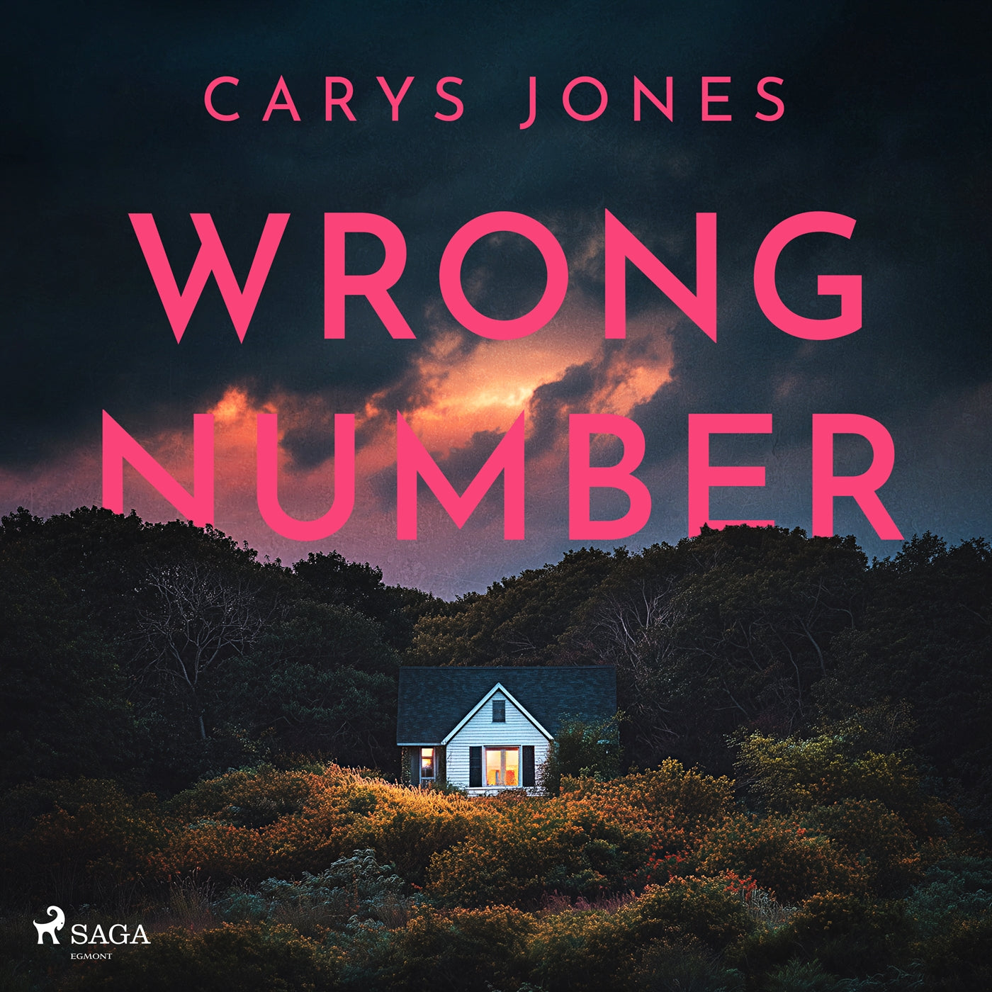 Wrong Number: A gripping, suspense-filled psychological thriller – Ljudbok