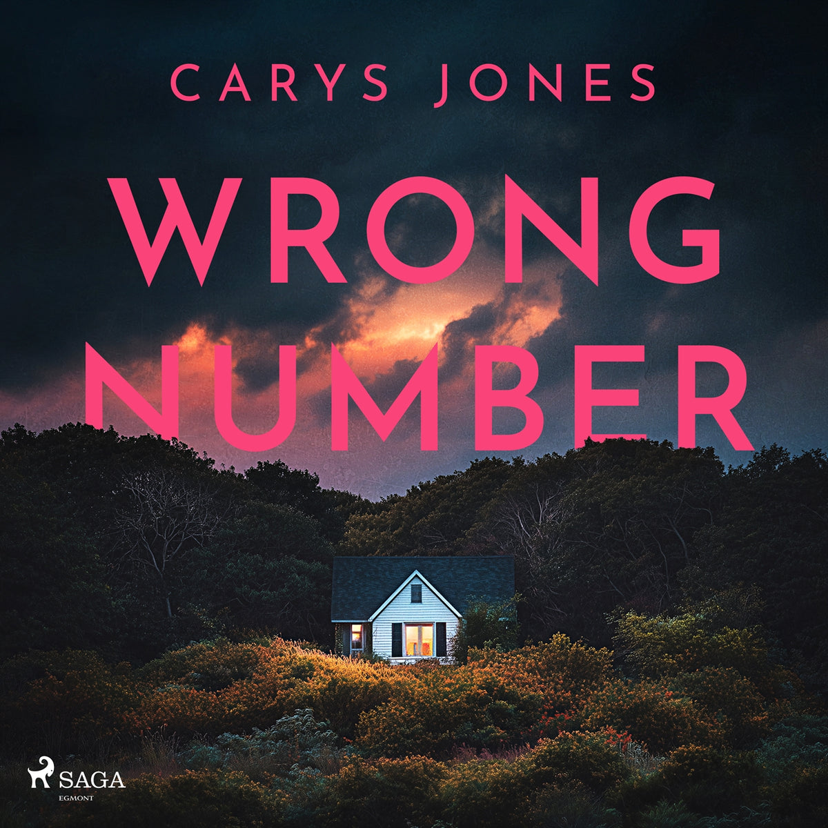 Wrong Number: A gripping, suspense-filled psychological thriller – Ljudbok