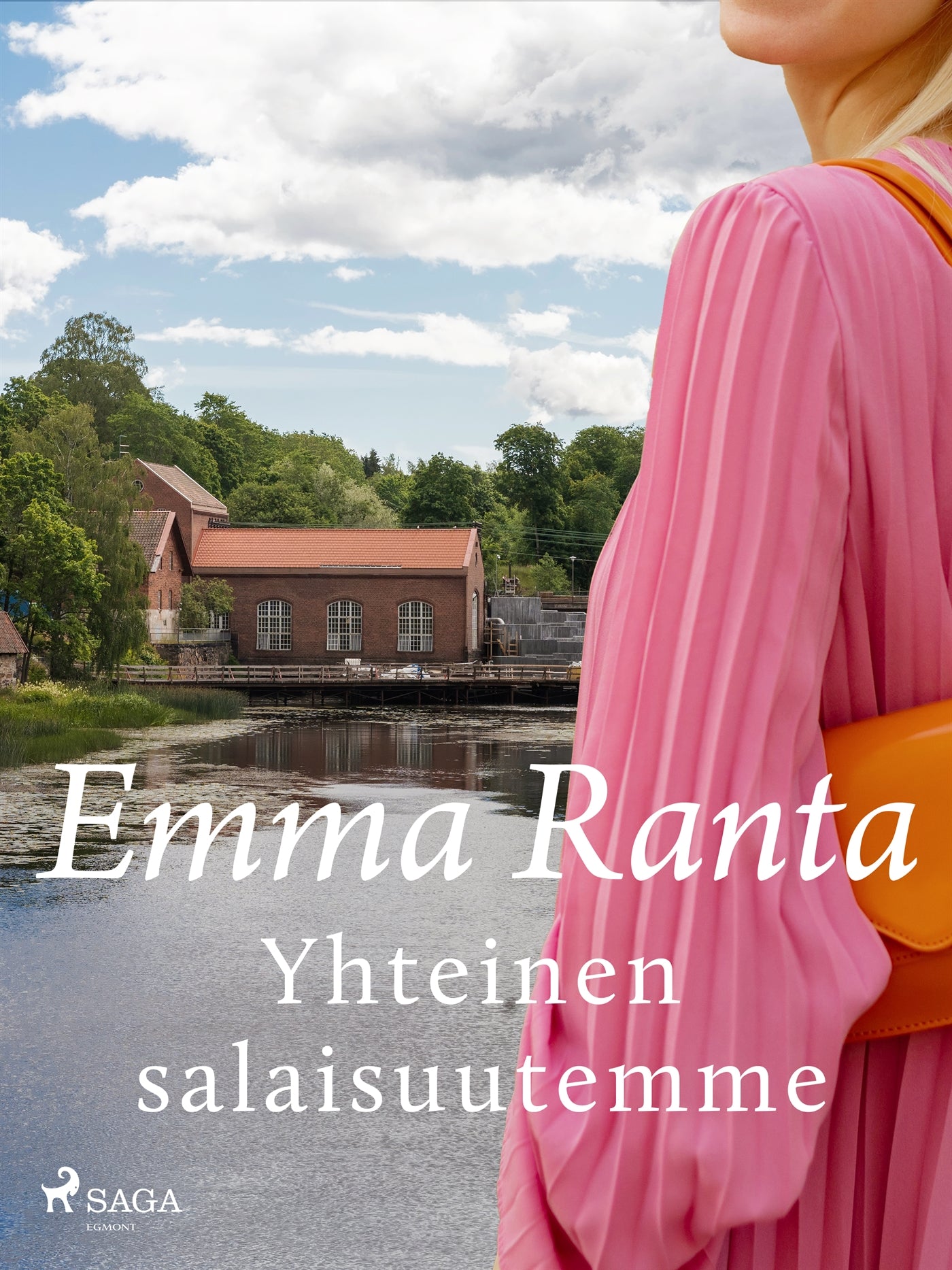 Yhteinen salaisuutemme – E-bok