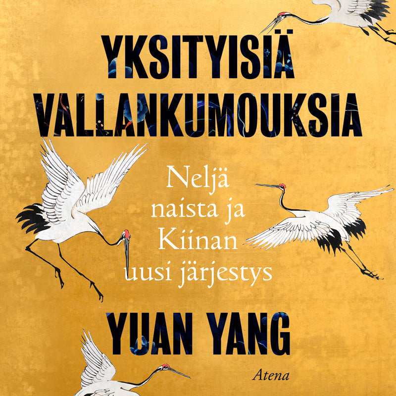 Yksityisiä vallankumouksia – Ljudbok