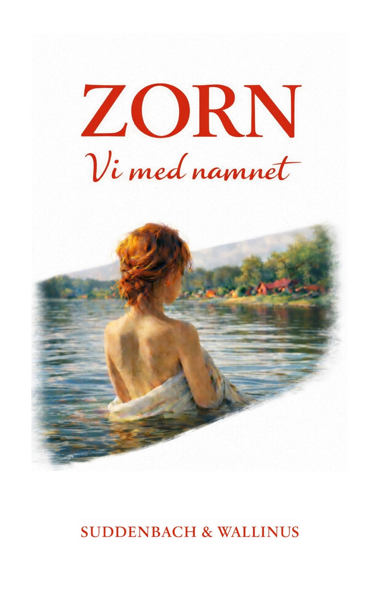 ZORN: Vi med namnet – E-bok