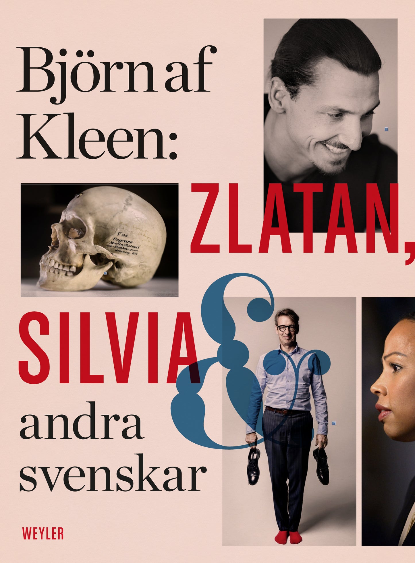 Zlatan, Silvia och andra svenskar : porträtt och reportage – E-bok