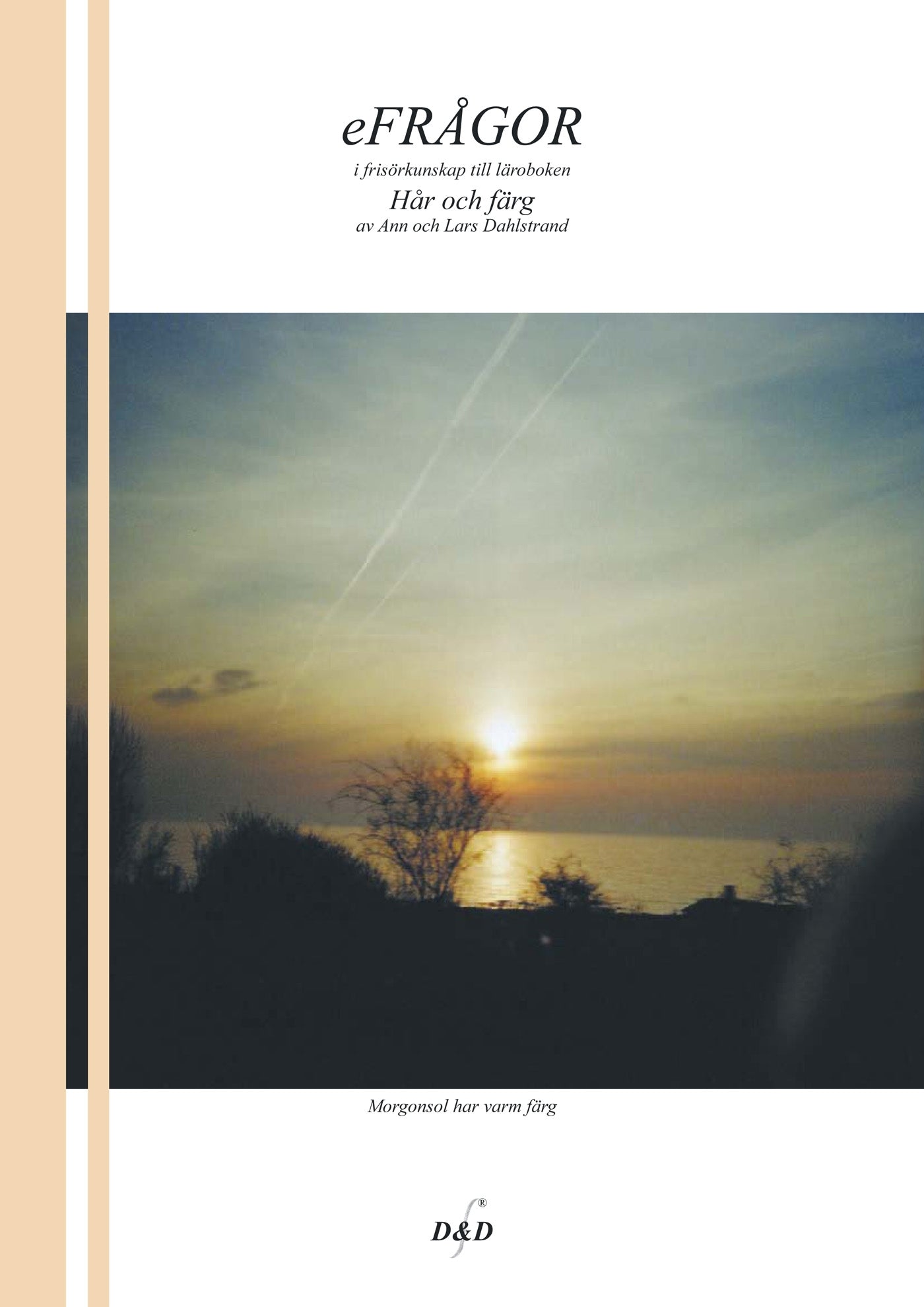 eFRÅGOR & SVAR i frisörkunskap till läroboken Hår och färg – E-bok