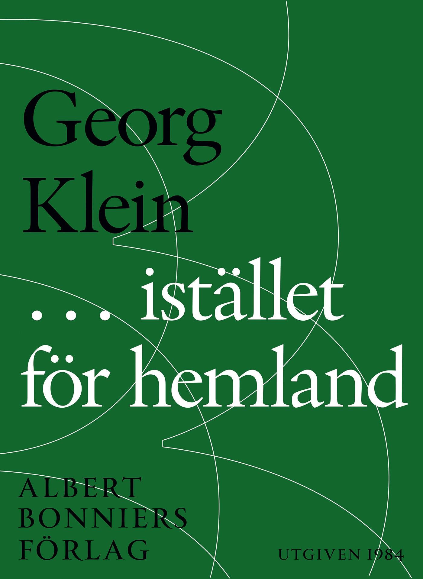 ... i stället för hemland – E-bok