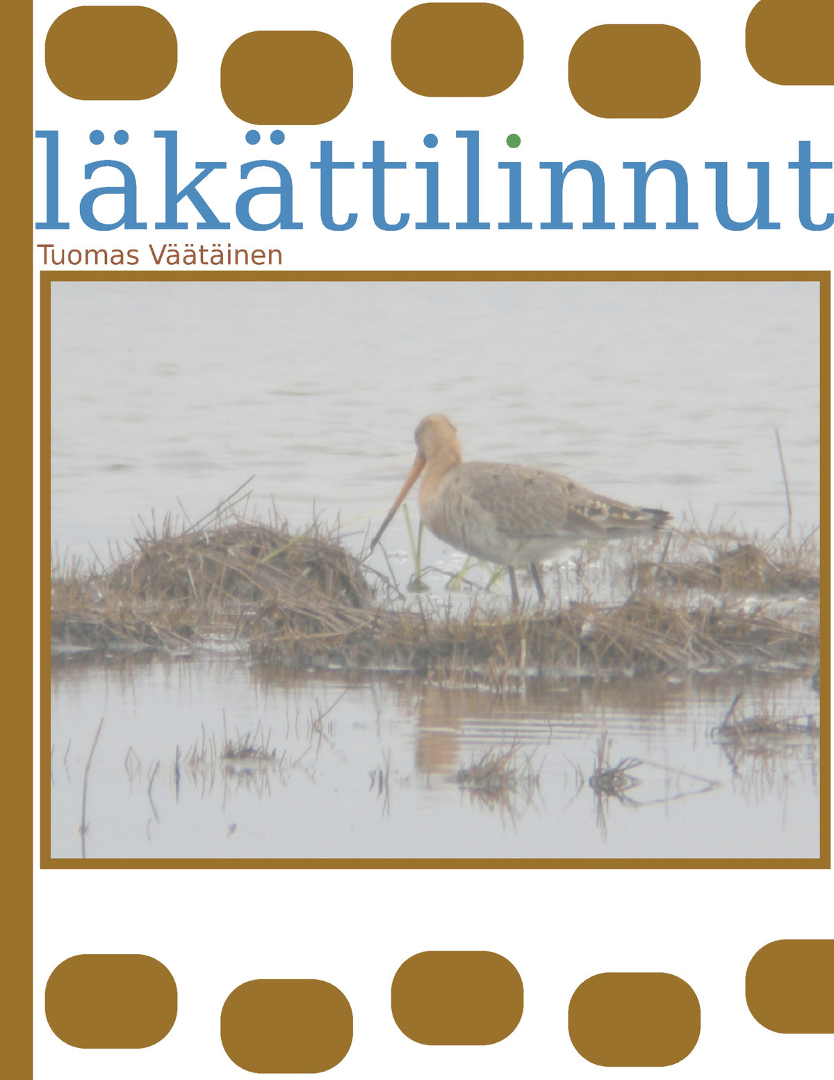 läkättilinnut – E-bok
