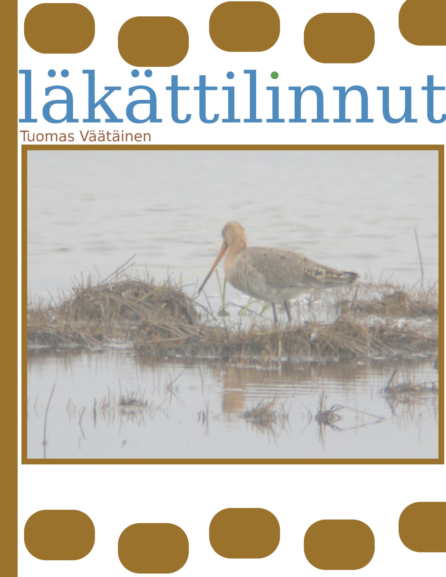 läkättilinnut – E-bok