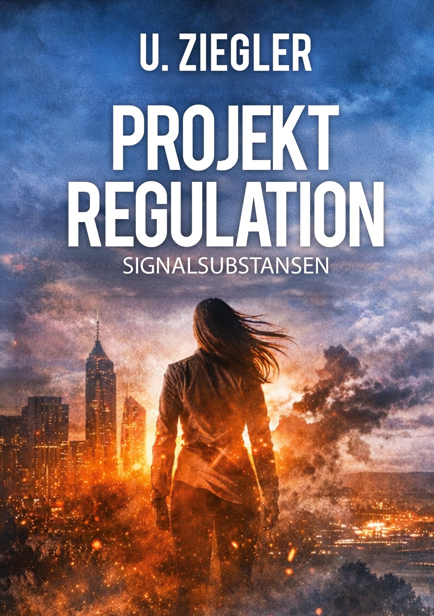 projektregulation: SIGNALSUBSTANSEN – E-bok