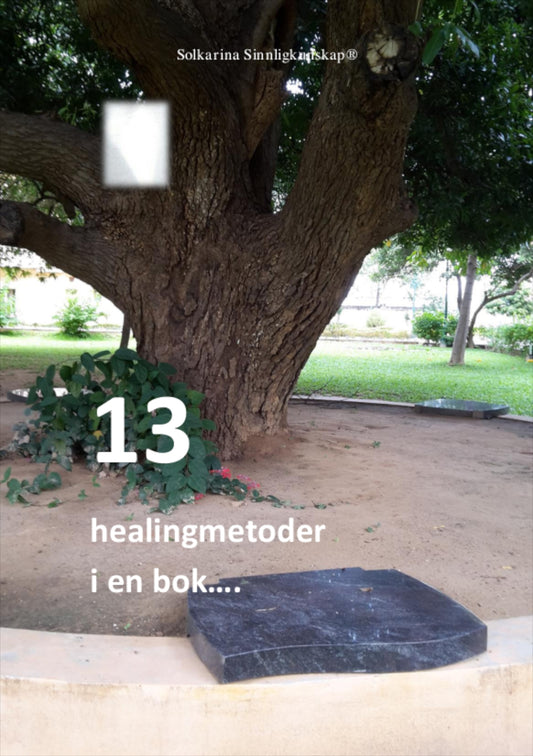 13 healingmetoder i en bok  – E-bok
