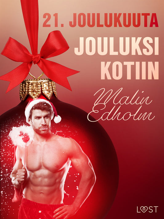 21. joulukuuta: Jouluksi kotiin – eroottinen joulukalenteri – E-bok