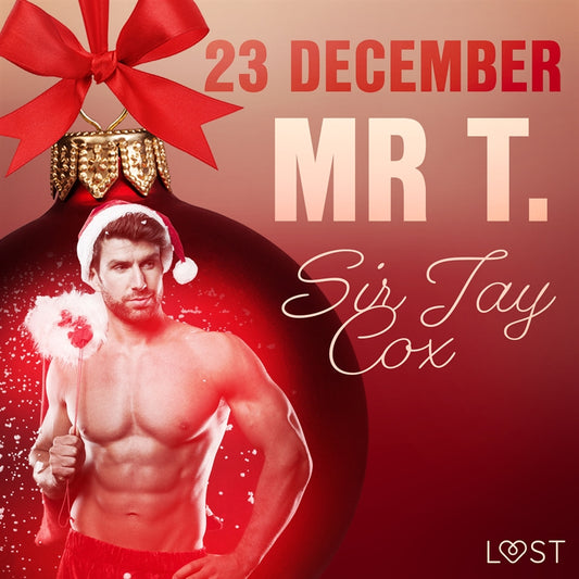 23 december: Mr T. - en erotisk julkalender – Ljudbok