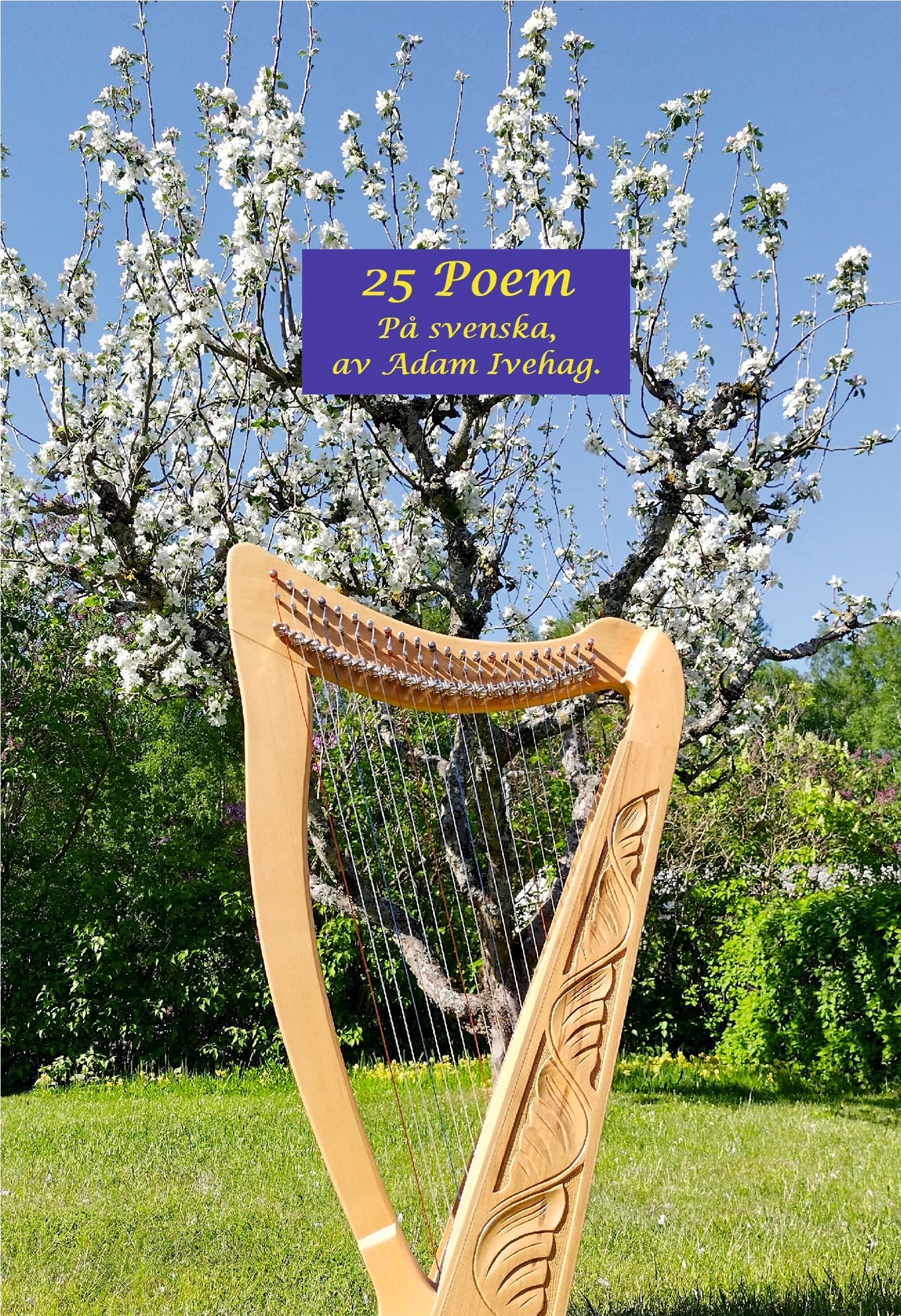 25 Poem: På Svenska, av Adam Ivehag. – E-bok