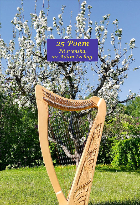 25 Poem: På Svenska, av Adam Ivehag. – E-bok