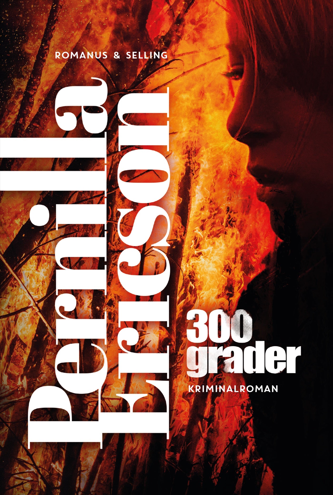 300 grader – E-bok