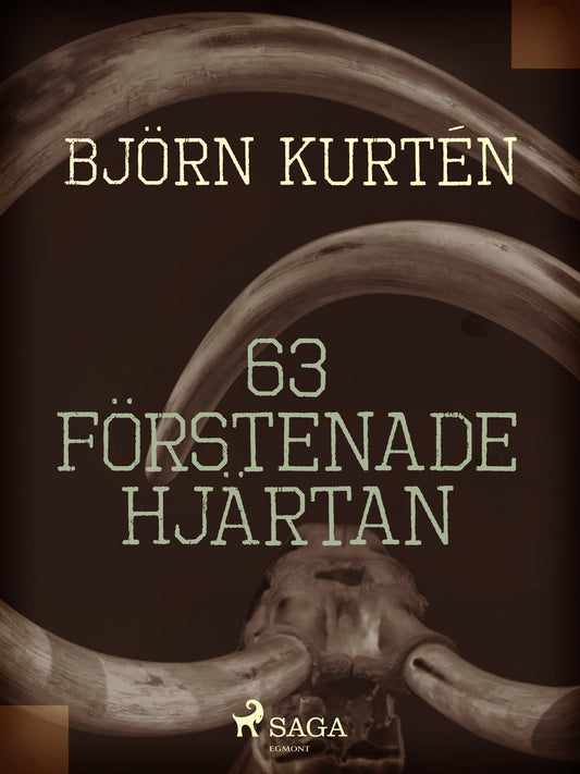 63 förstenade hjärtan – E-bok