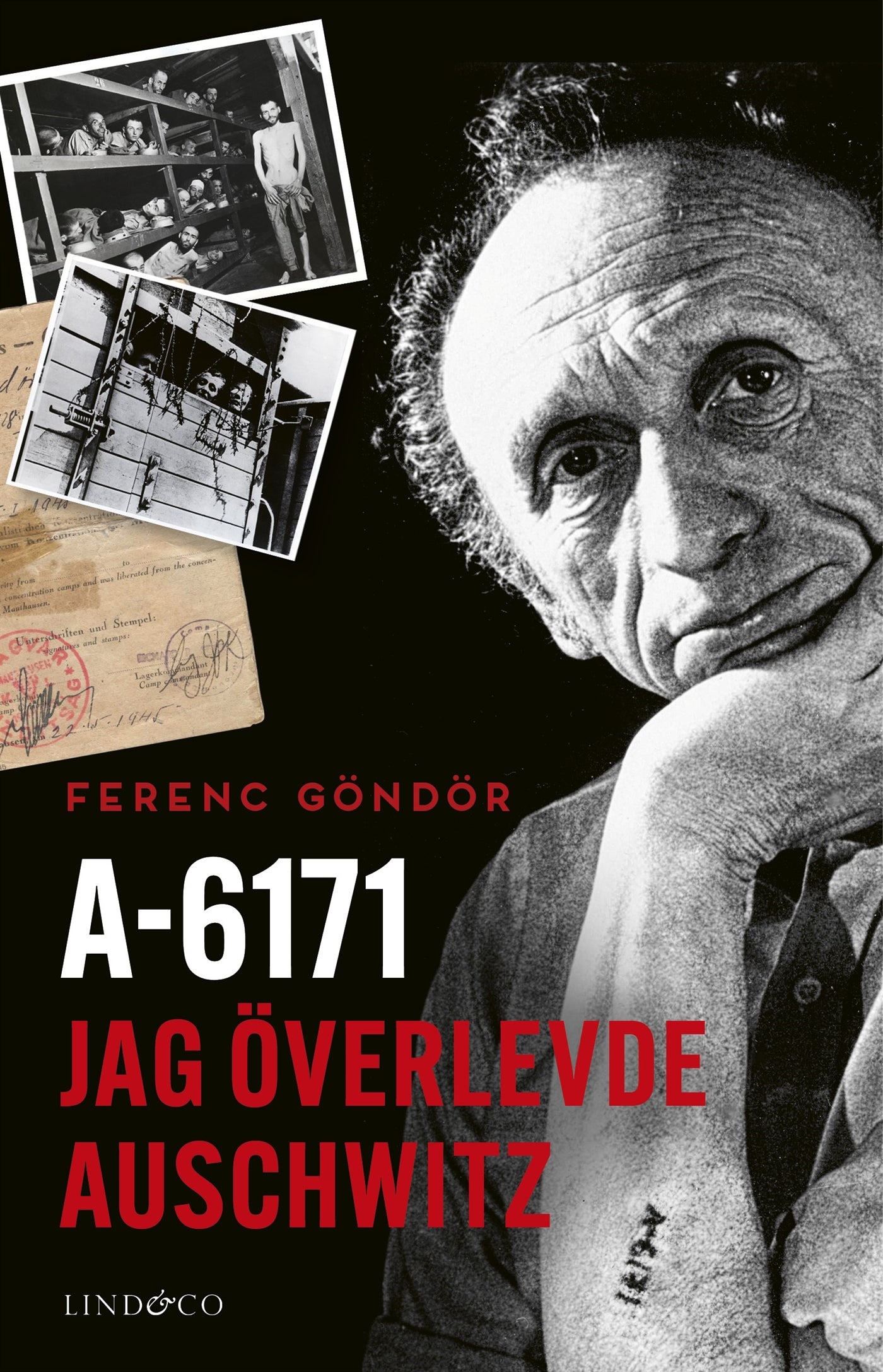 A-6171 : jag överlevde Auschwitz – E-bok