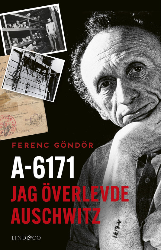 A-6171 : jag överlevde Auschwitz – E-bok