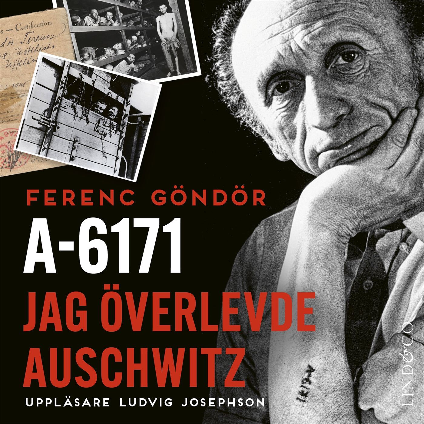 A-6171 : jag överlevde Auschwitz  – Ljudbok