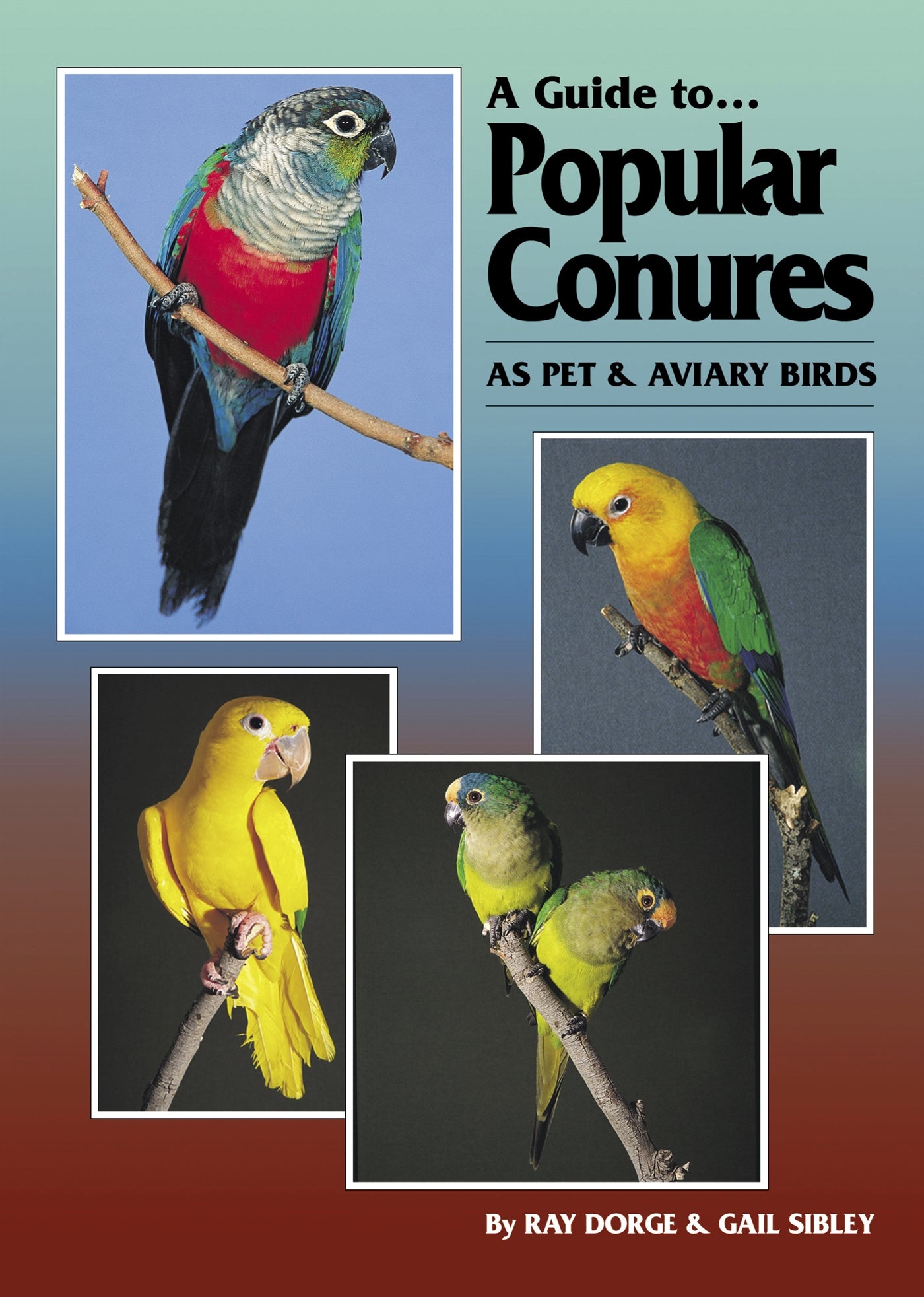 A Guide to Popular Conures as Pet and Aviary Birds – E-bok