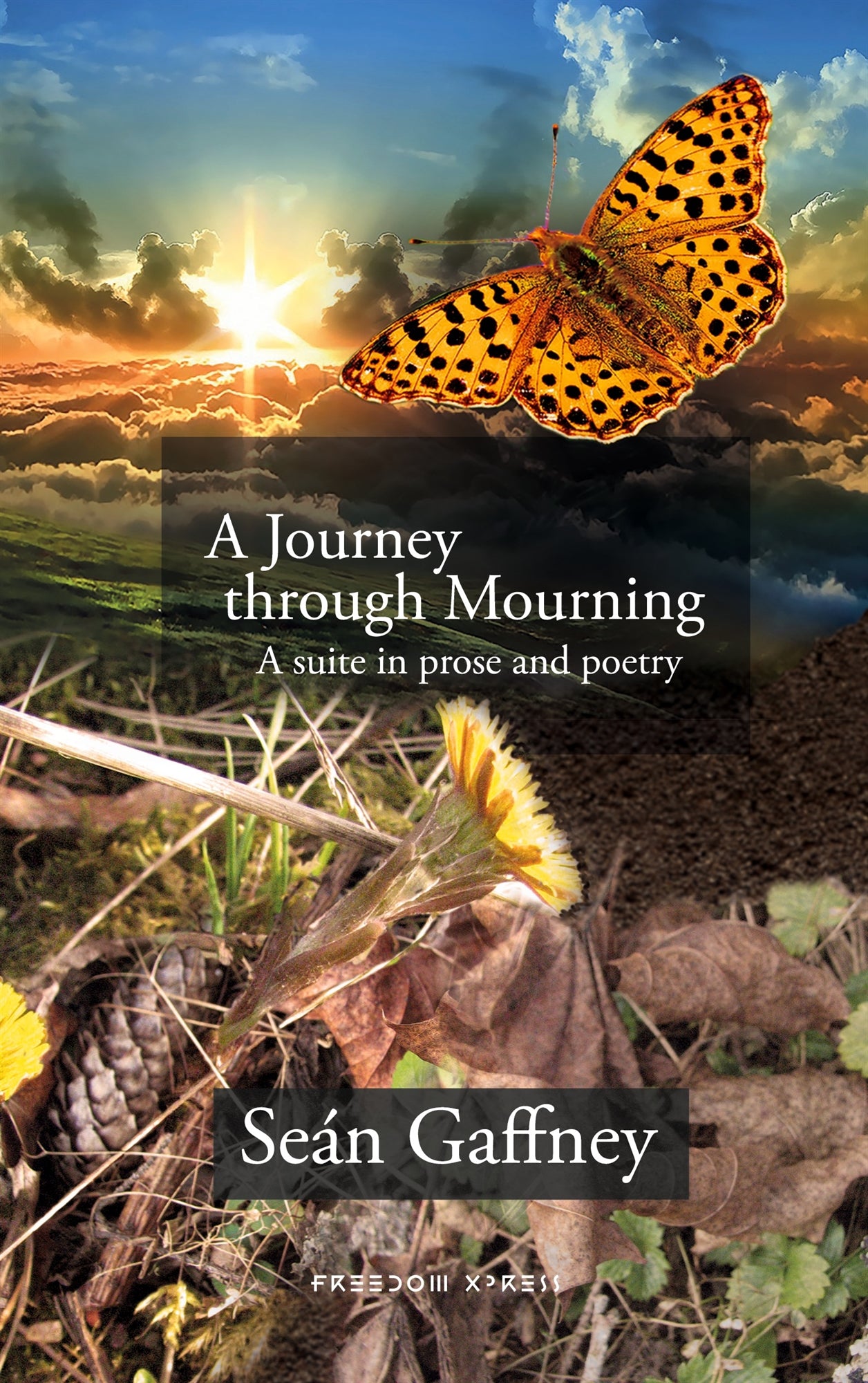 A Journey through Mourning: A suite in prose and poetry – E-bok