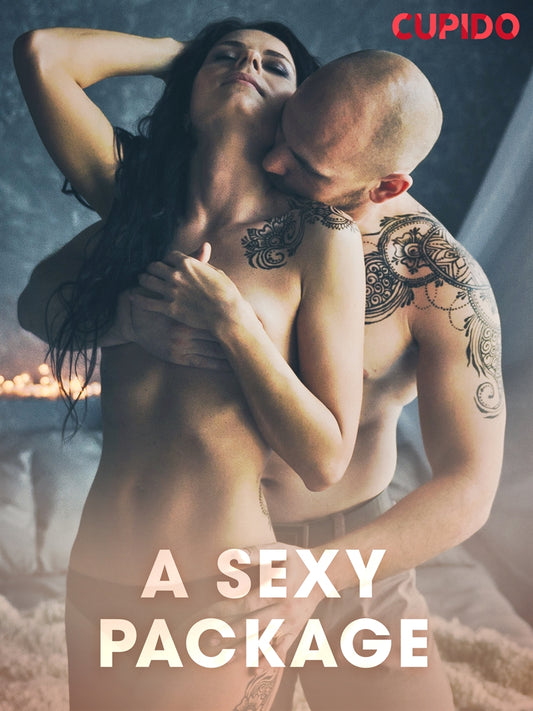 A Sexy Package – E-bok