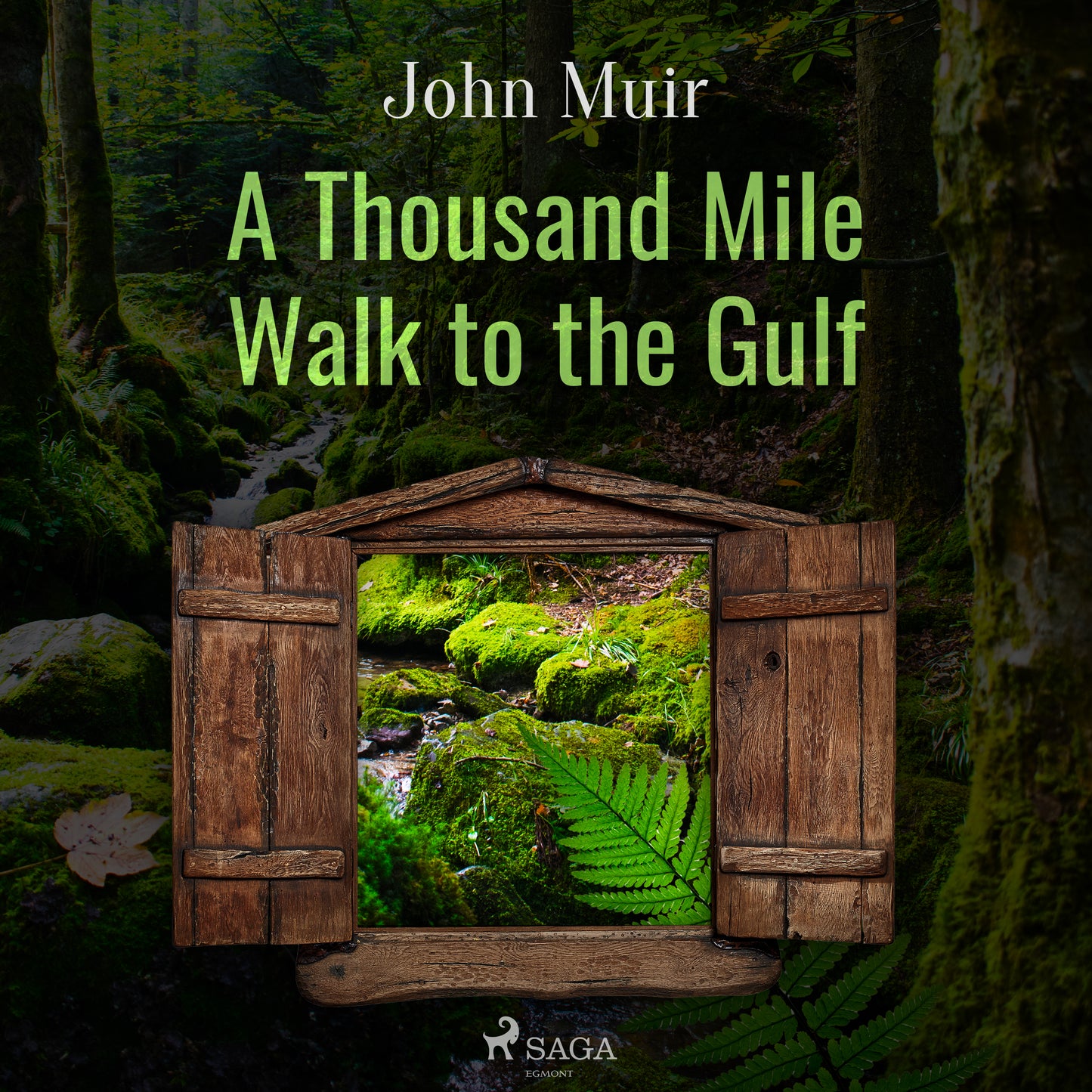 A Thousand Mile Walk to the Gulf – Ljudbok