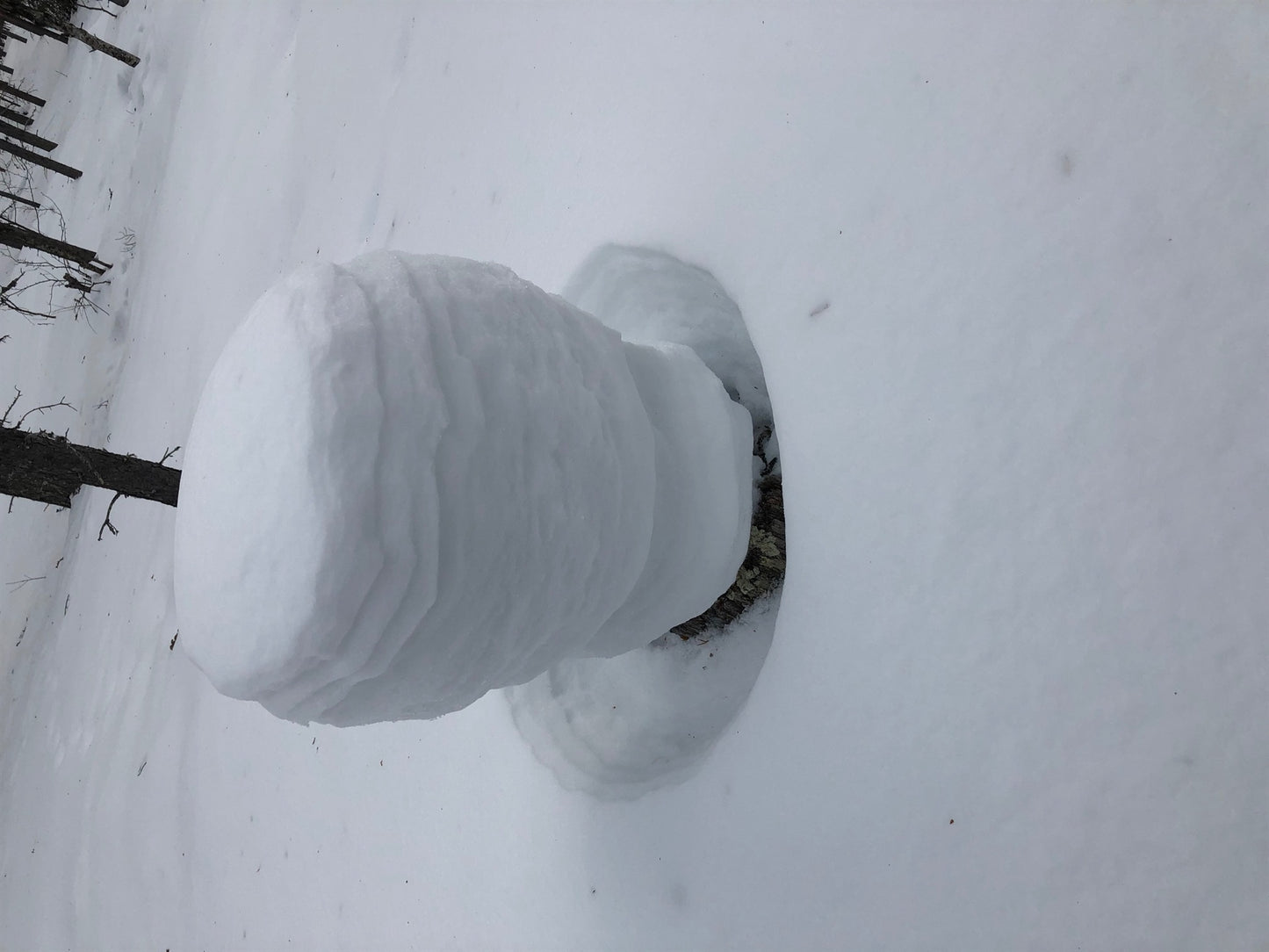 A childhood i barely survivde, thougt i had the odds against me.: And yet i became normal – E-bok