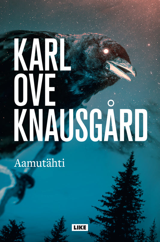 Aamutähti – E-bok