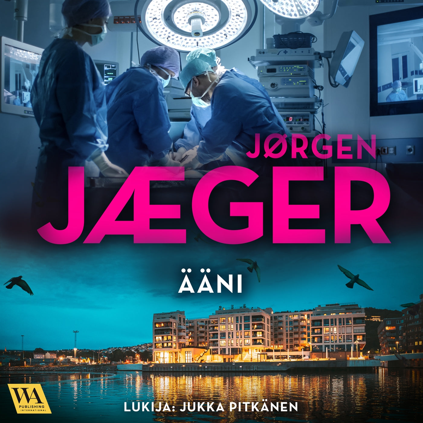 Ääni – Ljudbok