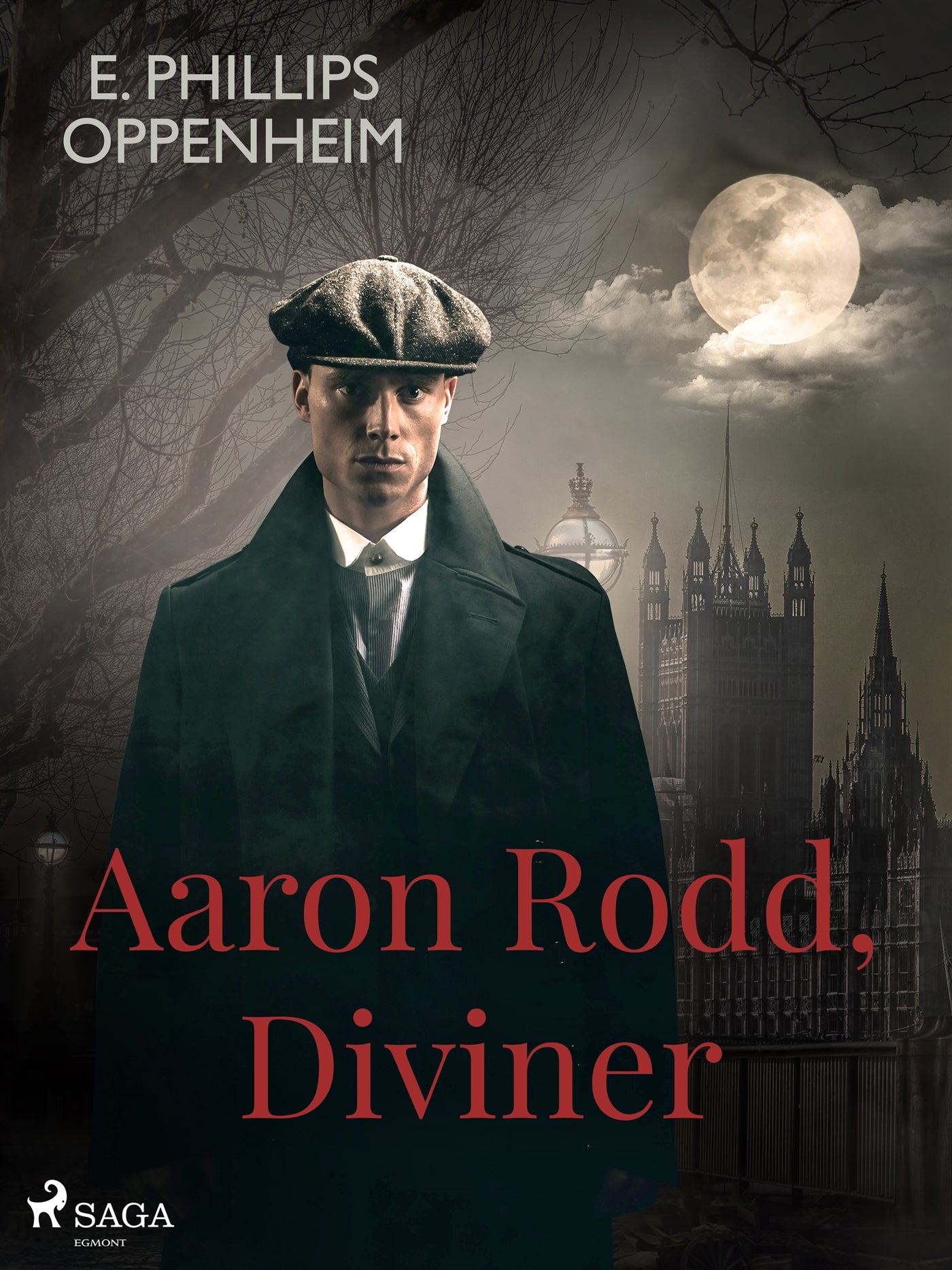 Aaron Rodd, Diviner – E-bok