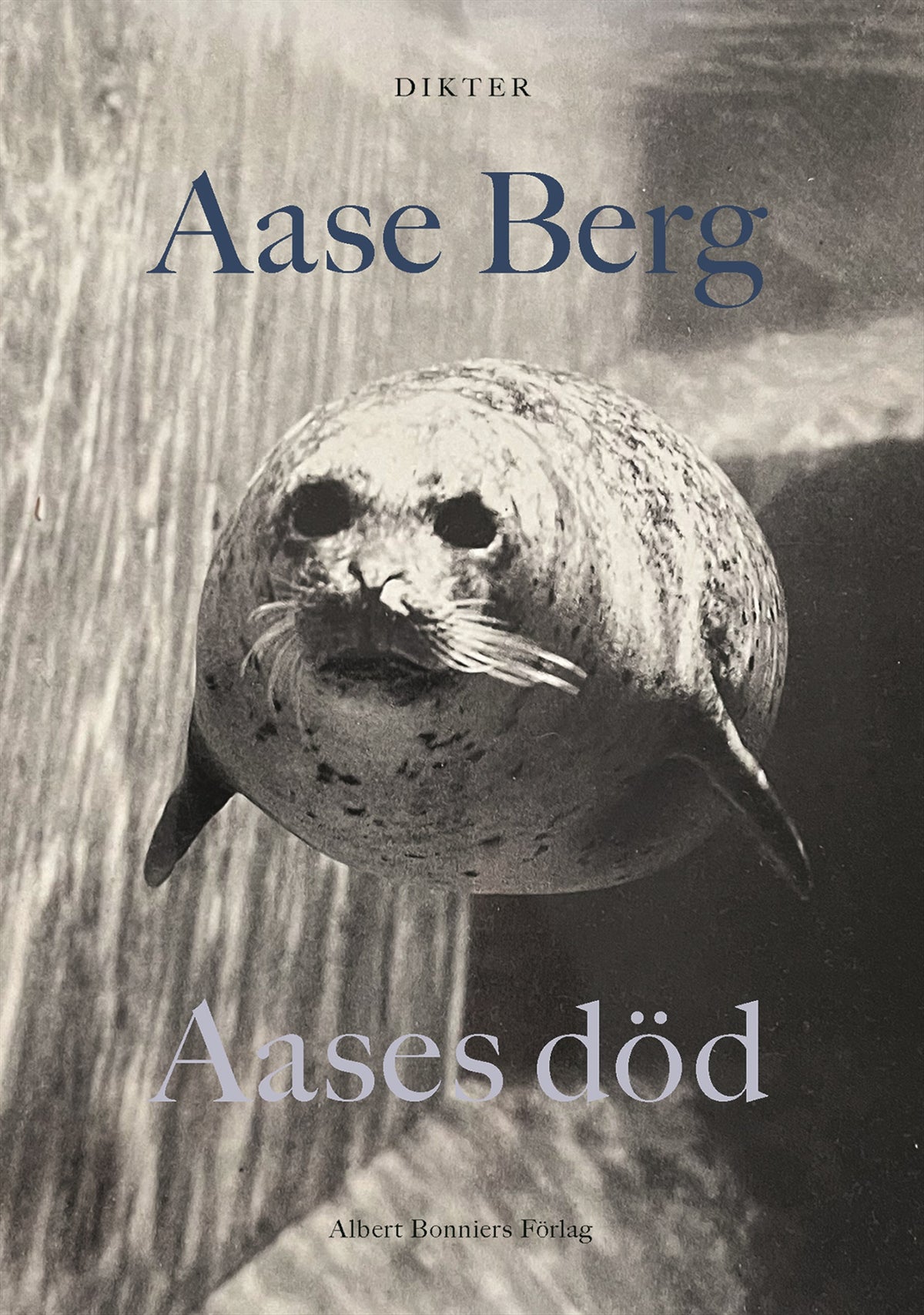 Aases död – E-bok