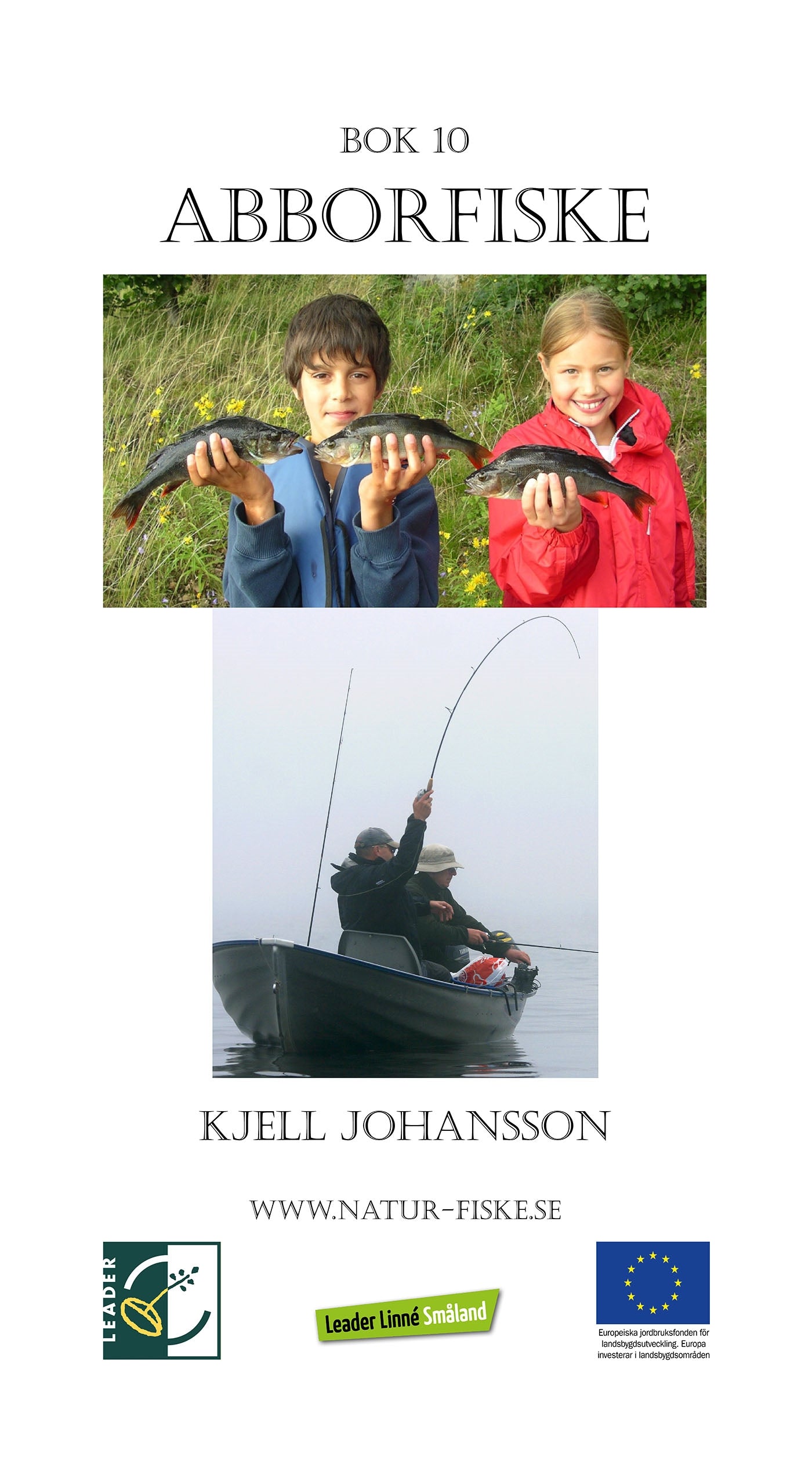Abborfiske – E-bok