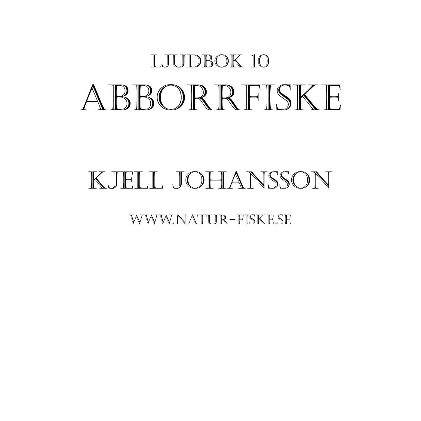 Abborrfiske – Ljudbok