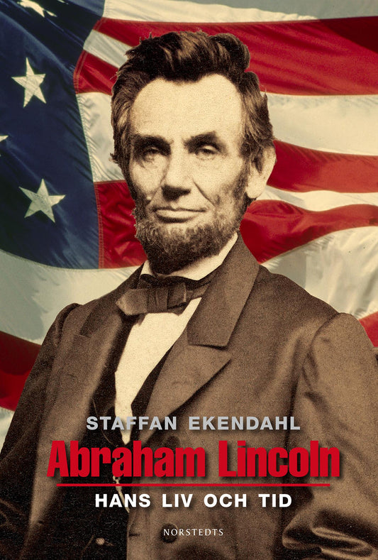 Abraham Lincoln : hans liv och tid – E-bok