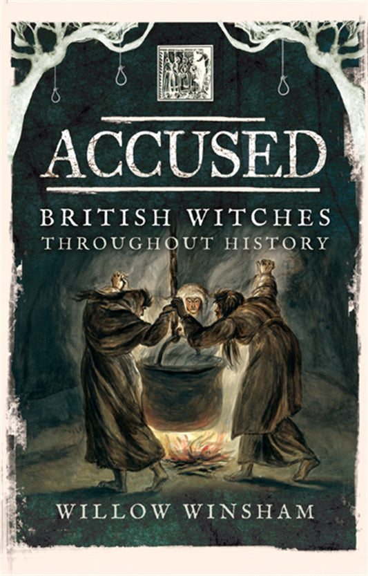 Accused – E-bok