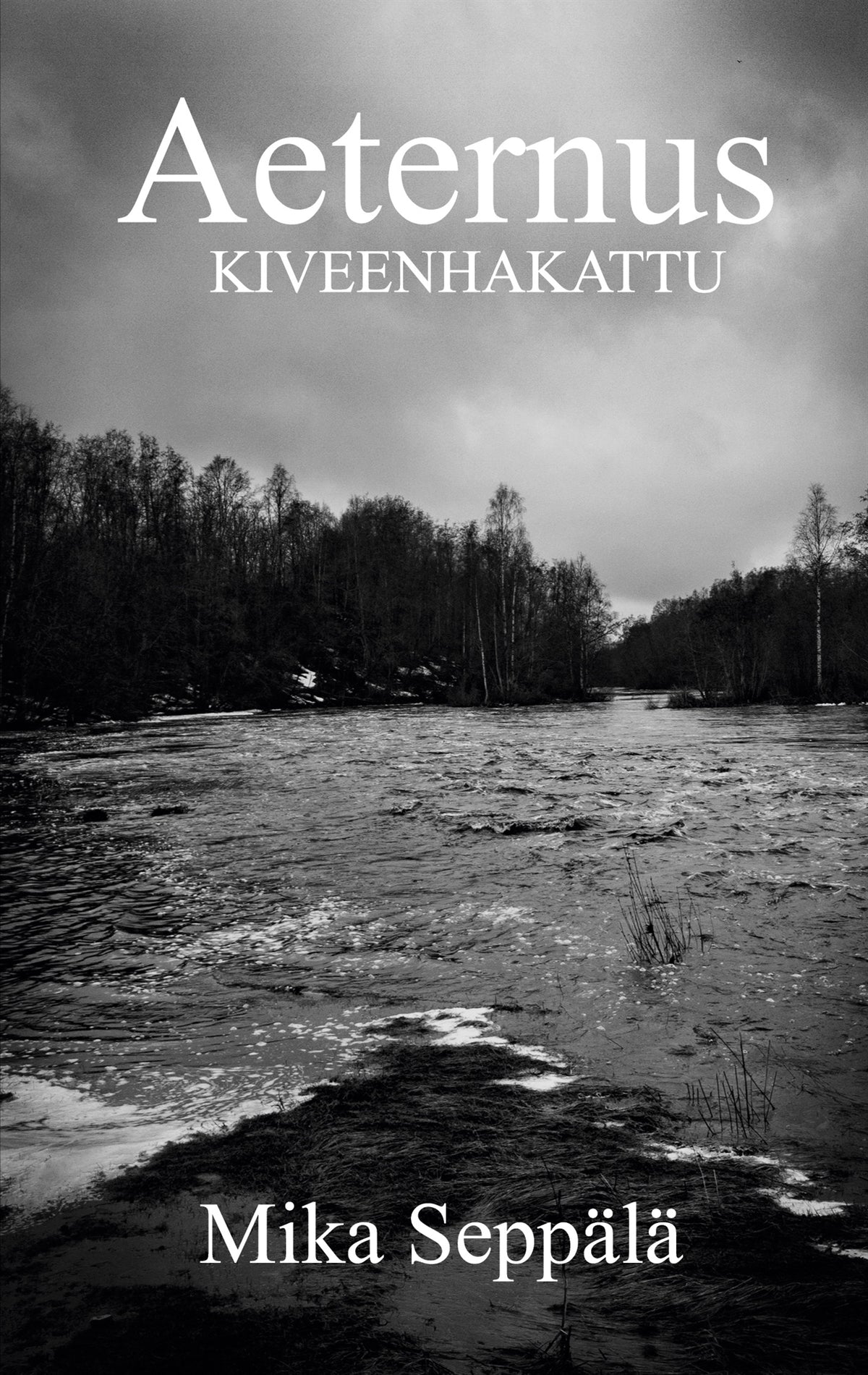 Aeternus: Kiveenhakattu – E-bok