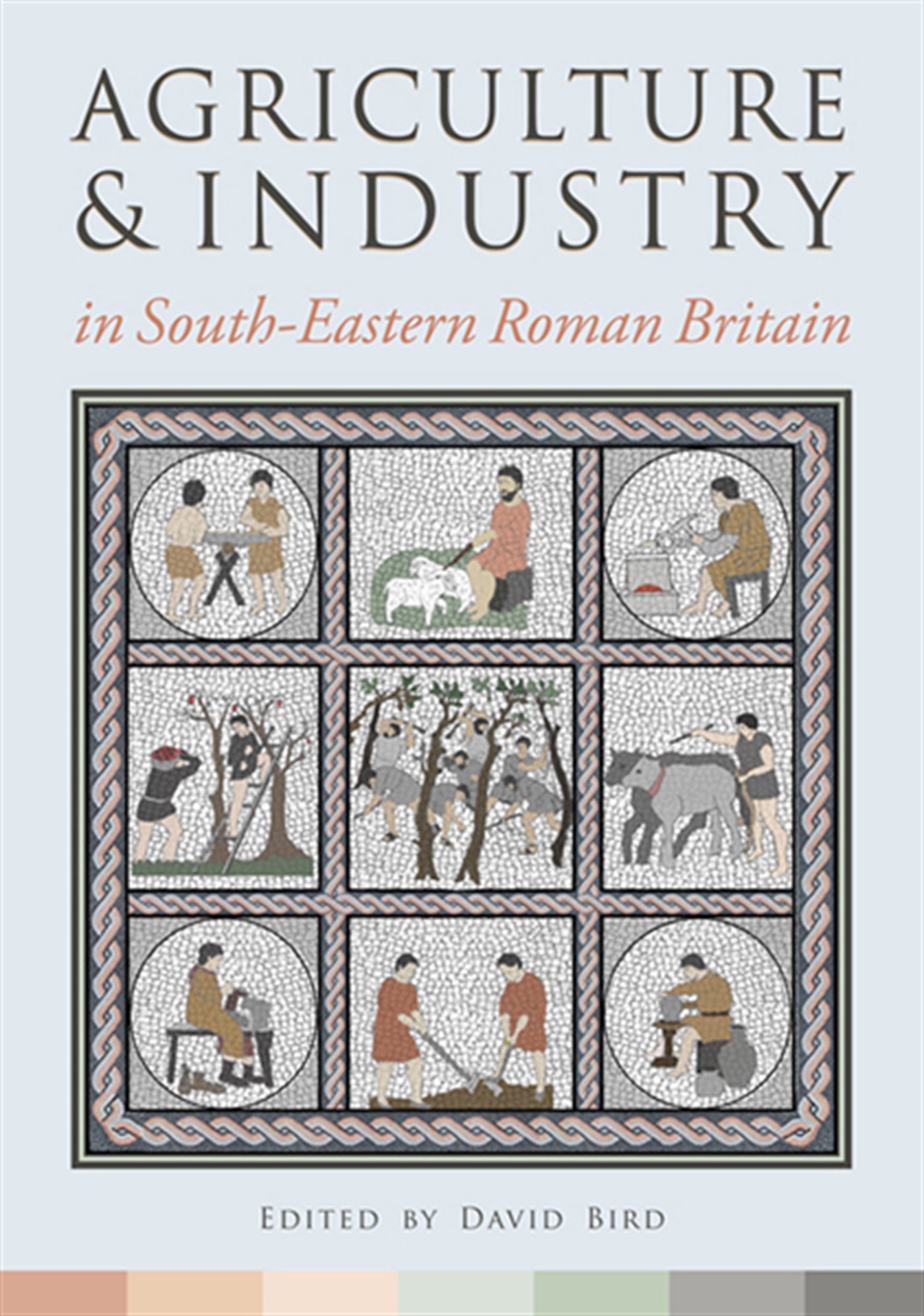 Agriculture and Industry in South-Eastern Roman Britain – E-bok
