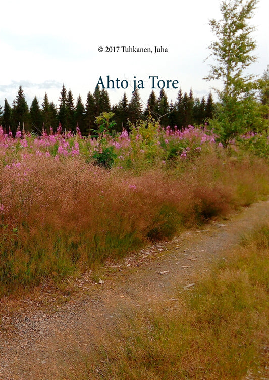 Ahto ja Tore – E-bok