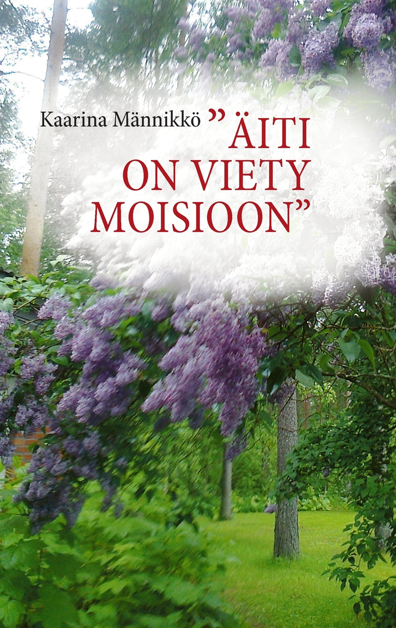 "Äiti on viety Moisioon" – E-bok